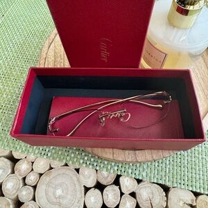 Cartier Panther sunglasses